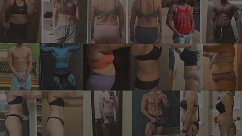 carna.png__PID:e09edee2-e06b-490d-8b75-2713b82120bf